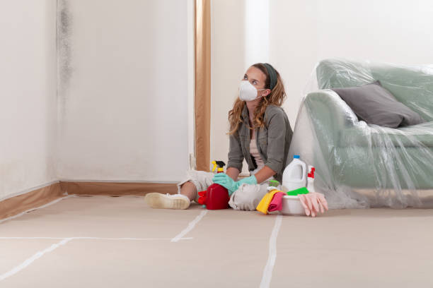 Reliable Mold Remediation contractor in Freeport, TX by Mold Remediation HQ